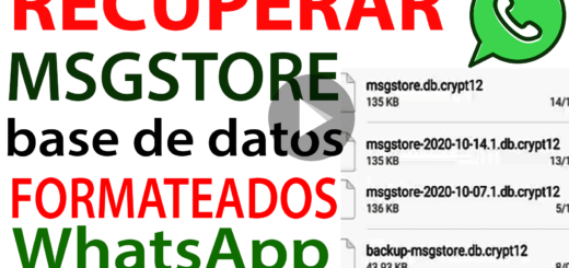Recuperar las databases msgstore de Whatsapp FORMATEADOS o RESTABLECIDOS