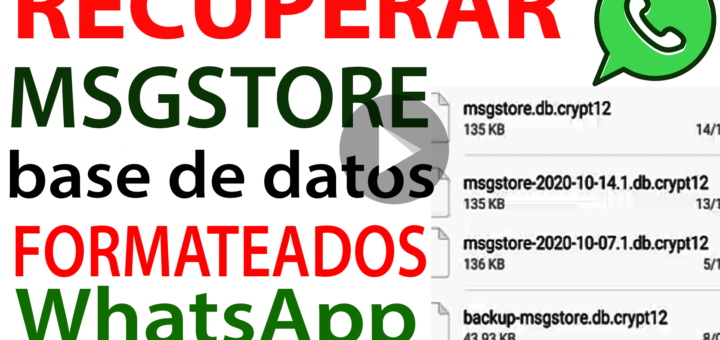 Recuperar las databases msgstore de Whatsapp FORMATEADOS o RESTABLECIDOS
