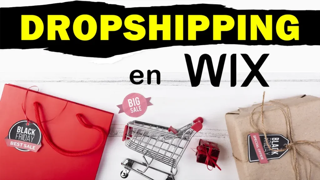 Cómo hacer dropshipping con Wix